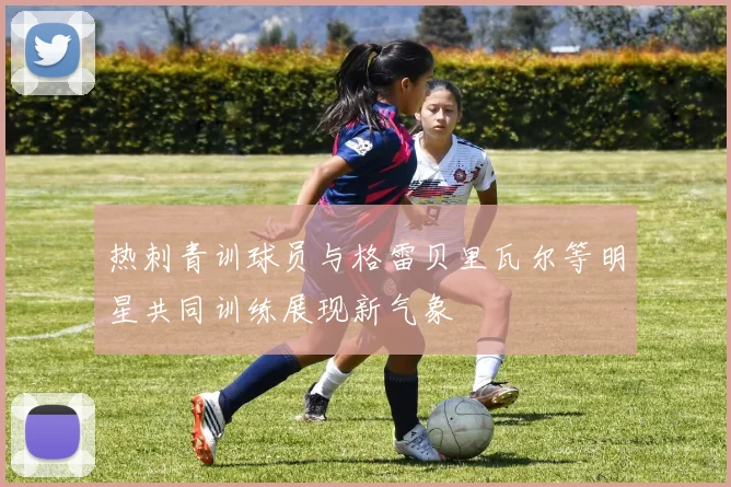 热刺青训球员与格雷贝里瓦尔等明星共同训练展现新气象