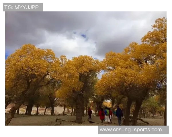 追梦西部挑战虽艰难但我们与湖船携手共创辉煌争夺冠军